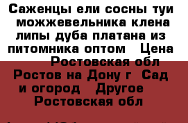 Саженцы ели,сосны,туи, можжевельника,клена,липы,дуба,платана из питомника оптом › Цена ­ 180 - Ростовская обл., Ростов-на-Дону г. Сад и огород » Другое   . Ростовская обл.